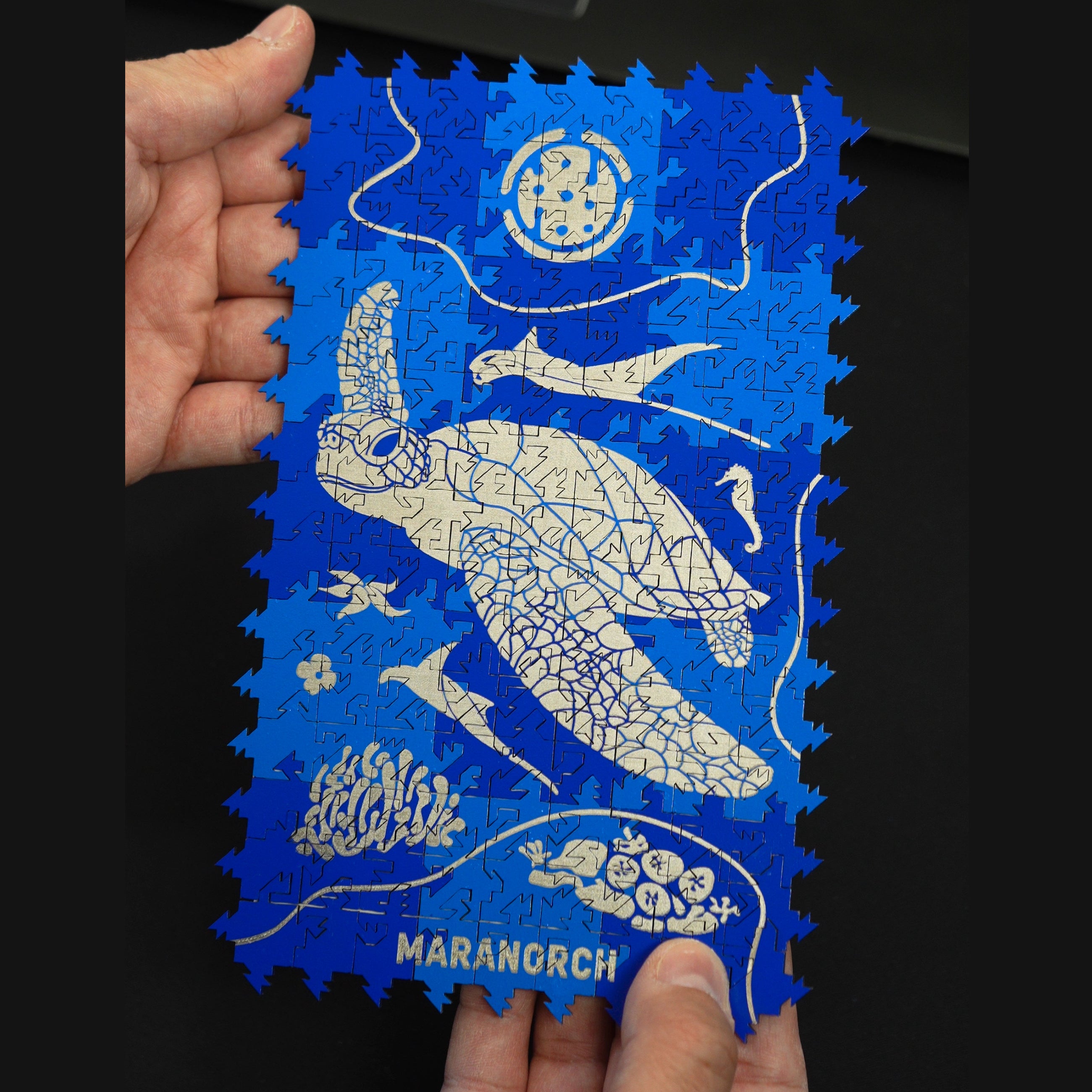 Maranorch Maldives Puzzle